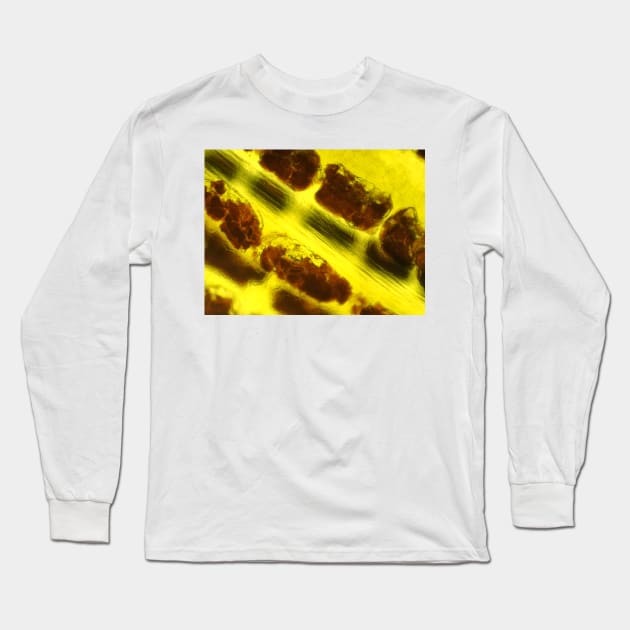 Banana peel under the microscope Long Sleeve T-Shirt by SDym Photography